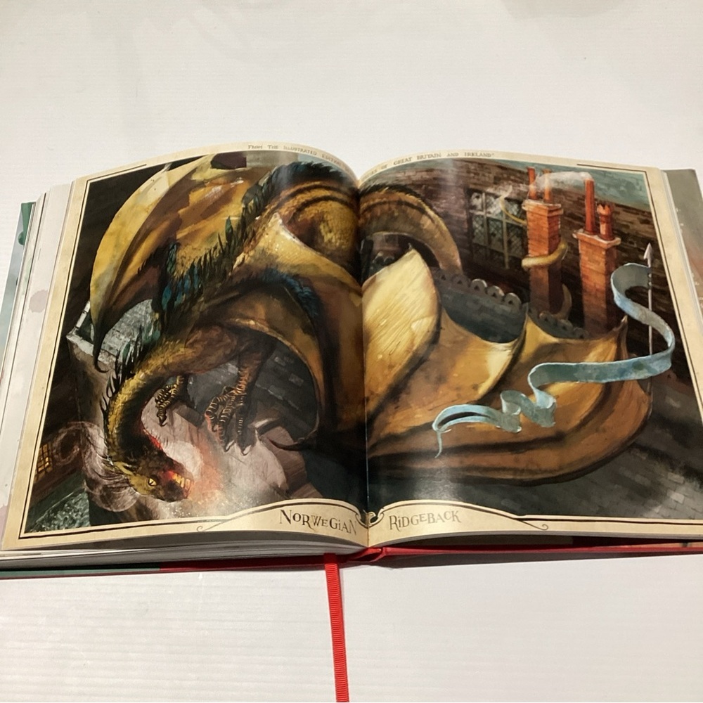 Harry Potter and the Philosopher's Stone: Illustrated Edition 1st Edition - Picture 12 of 13